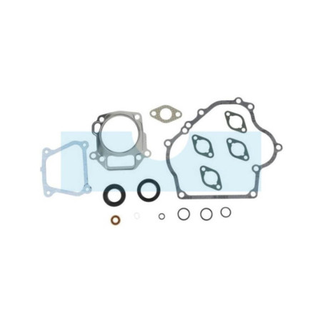 Pochette de joint pour moteur Briggs & Stratton (715032)