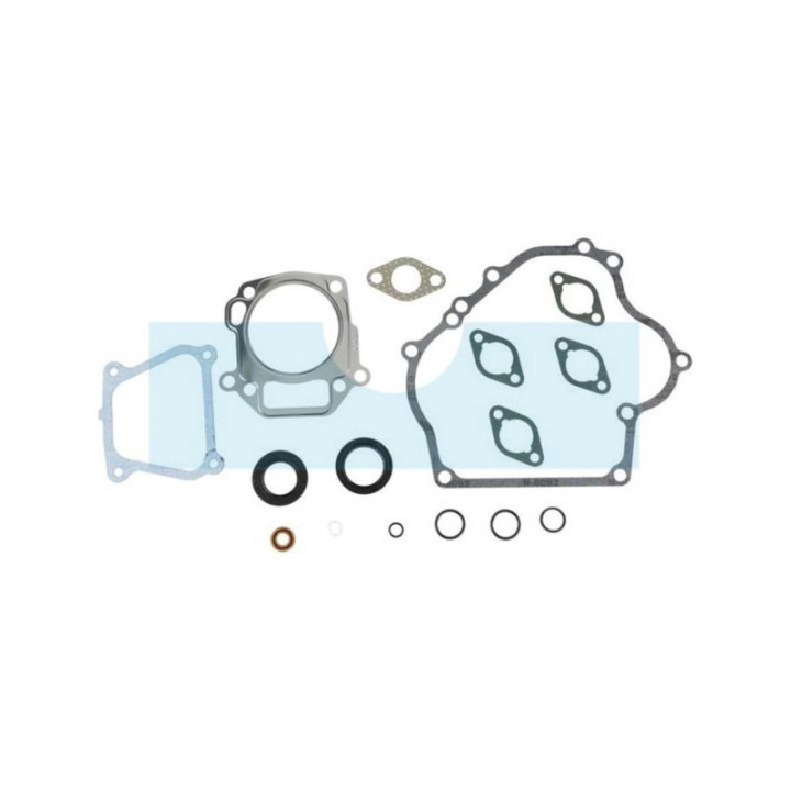 Pochette de joint pour moteur Briggs & Stratton (715032)