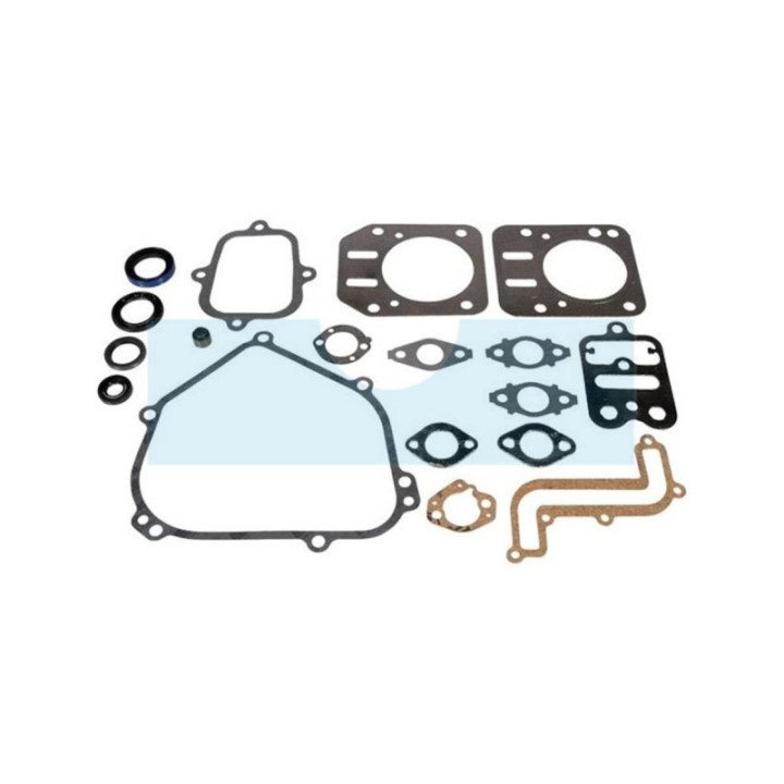 Pochette de joint pour moteur Briggs & Stratton (791797)