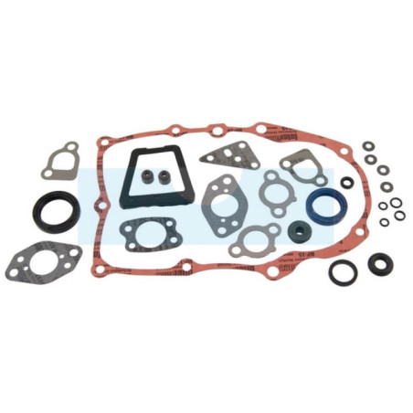 Pochette de joint pour moteur Briggs & Stratton (841188)