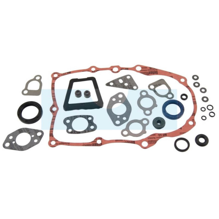 Pochette de joint pour moteur Briggs & Stratton (841188)