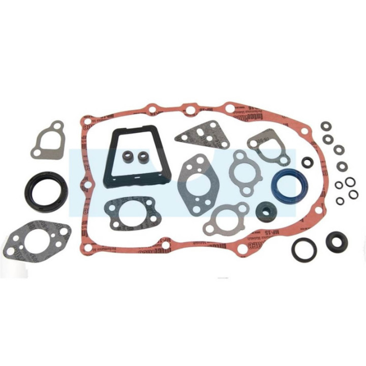 Pochette de joint pour moteur Briggs & Stratton (841188)