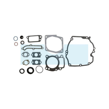 Pochette de joint pour moteur Briggs & Stratton (496055)
