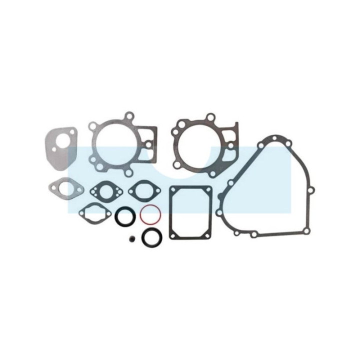 Pochette de joint pour moteur Briggs & Stratton (695438)