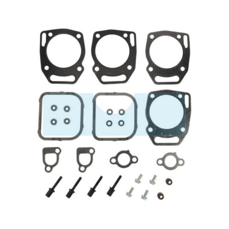 Pochette de joint haut moteur pour Briggs & Stratton (841191)