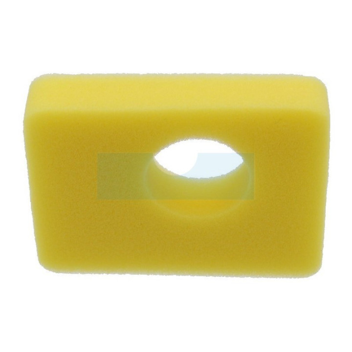 Filtre à air pour moteur Briggs & Stratton (799579)