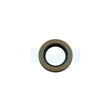 Joint spi pour moteur Briggs & Stratton (7011817YP)