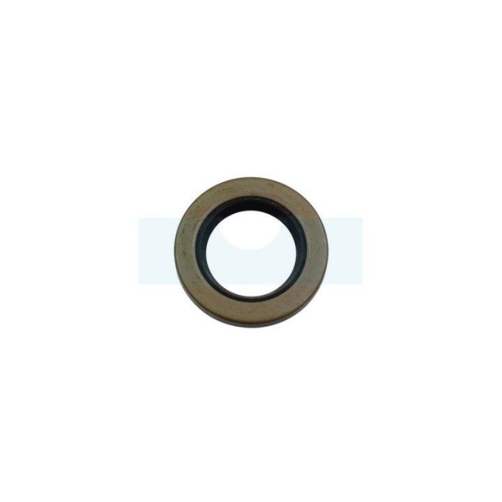 Joint spi pour moteur Briggs & Stratton (7011817YP)