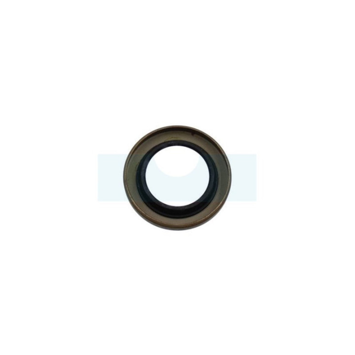 Joint spi pour moteur Briggs & Stratton (7011817YP)