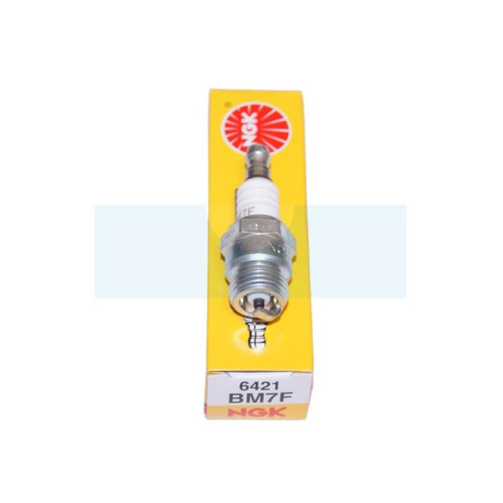 Bougie d'allumage NGK BM7F