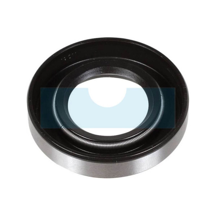 Joint spi pour moteur Briggs & Stratton (691582)