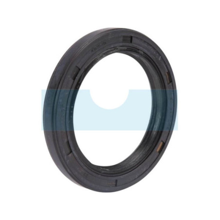 Joint spi pour moteur Briggs & Stratton (491019)