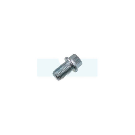 Bouchon de vidange d'huile pour moteur Loncin (1102600250001)