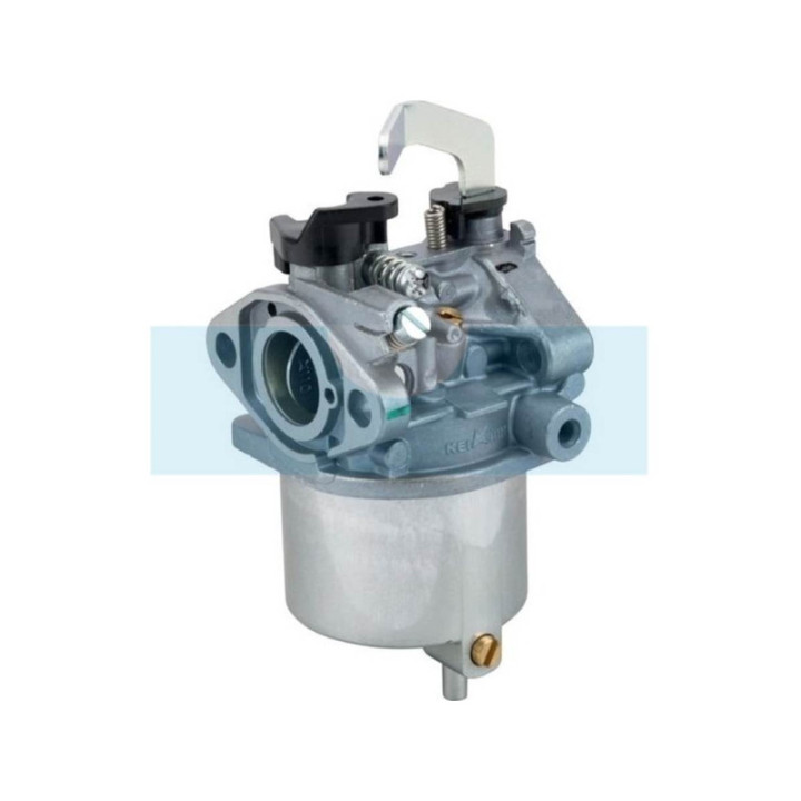 Carburateur pour moteur Kawasaki (150032034)