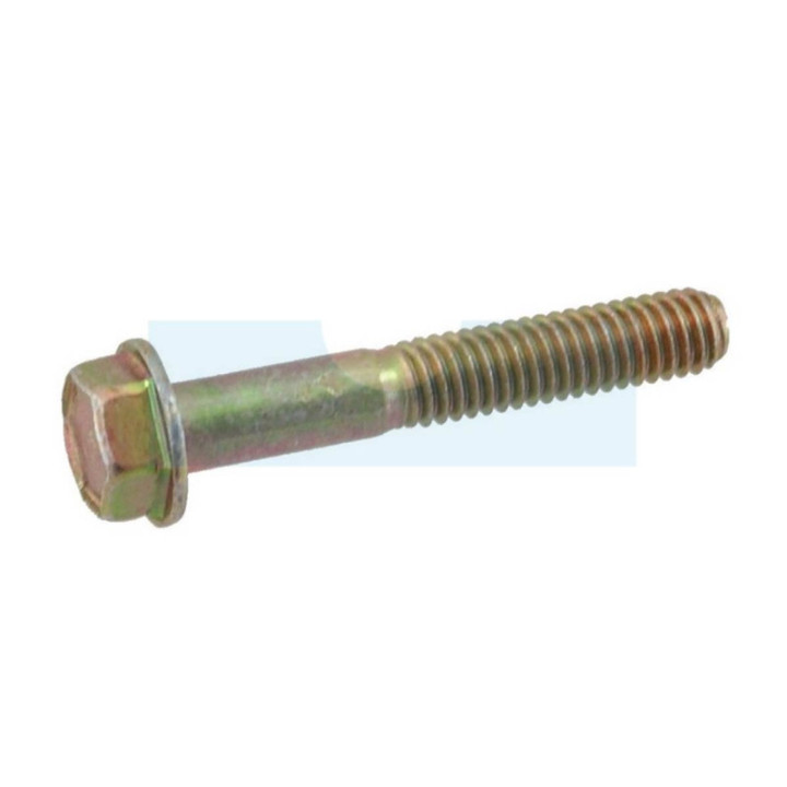 Boulon pour moteur Briggs & Stratton (691640)