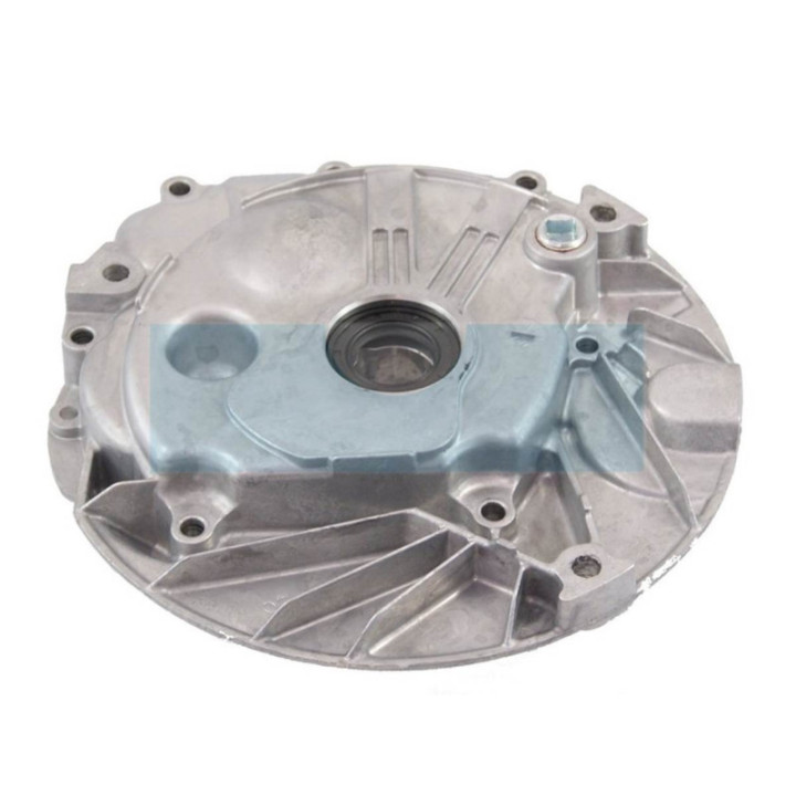 Carter de vilebrequin pour moteur Briggs & Stratton (493279)