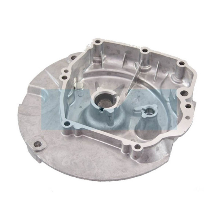 Carter de vilebrequin pour moteur Briggs & Stratton (493279)