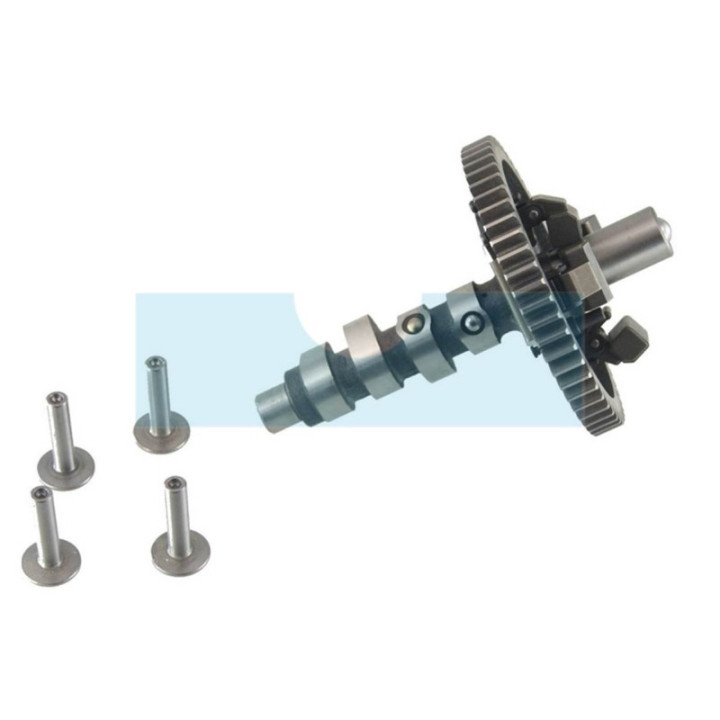 Arbre à cames pour moteur Briggs & Stratton (845649)