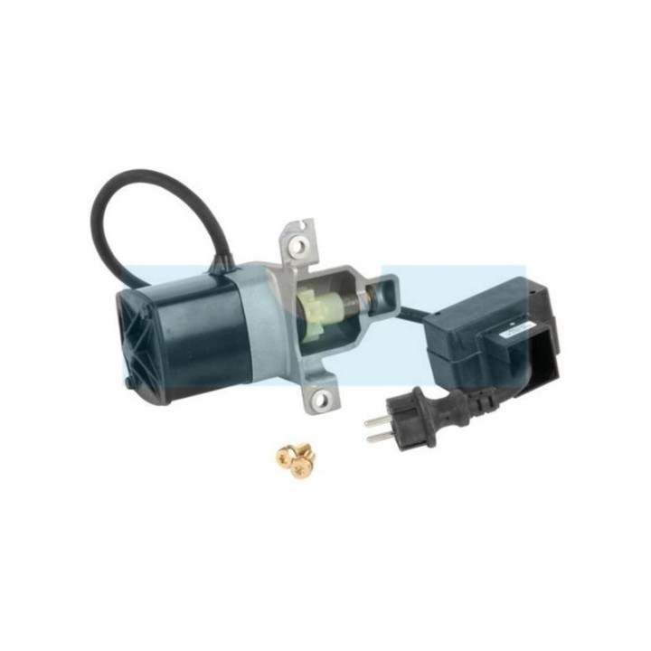 Démarreur pour moteur Briggs & Stratton (699455)