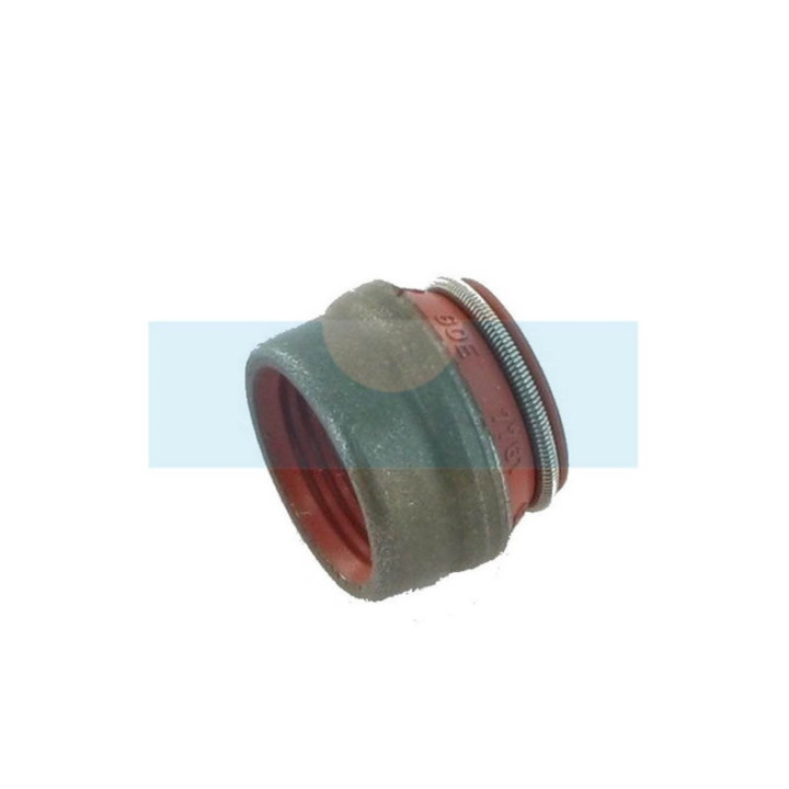 Joint de queue de soupape pour moteur Lombardini (4535015)