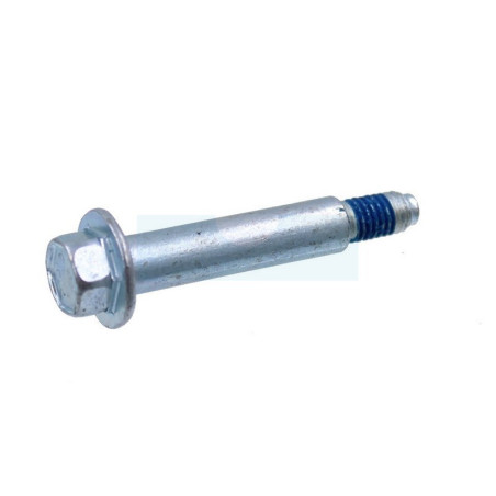 Boulon pour moteur Briggs & Stratton (690255)