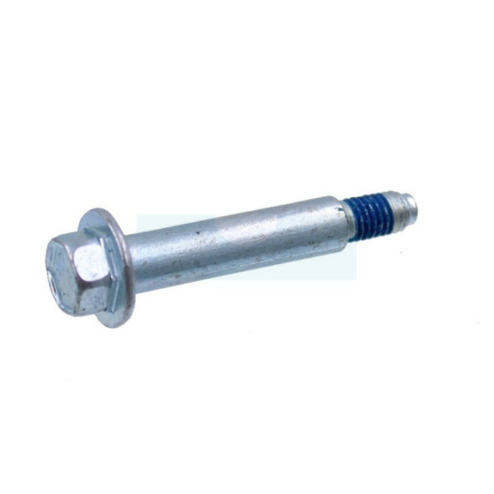 Boulon pour moteur Briggs & Stratton (690255)