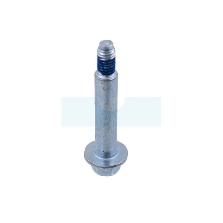 Boulon pour moteur Briggs & Stratton (690255)