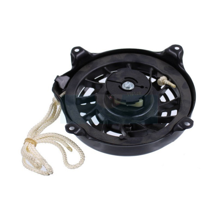 Lanceur pour moteur Briggs & Stratton (697743)
