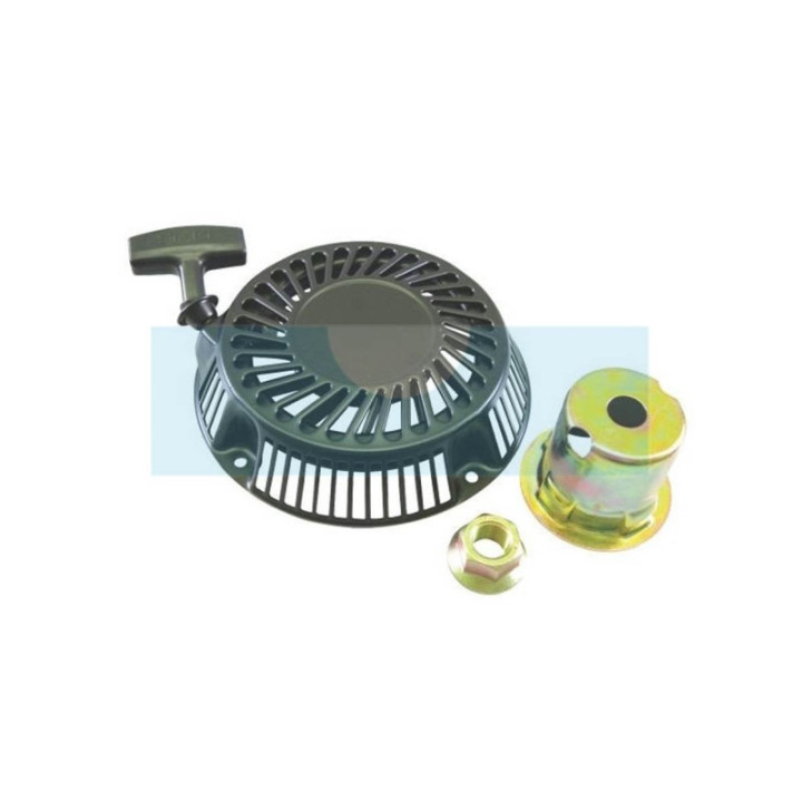 Lanceur pour moteur Briggs & Stratton (808153)