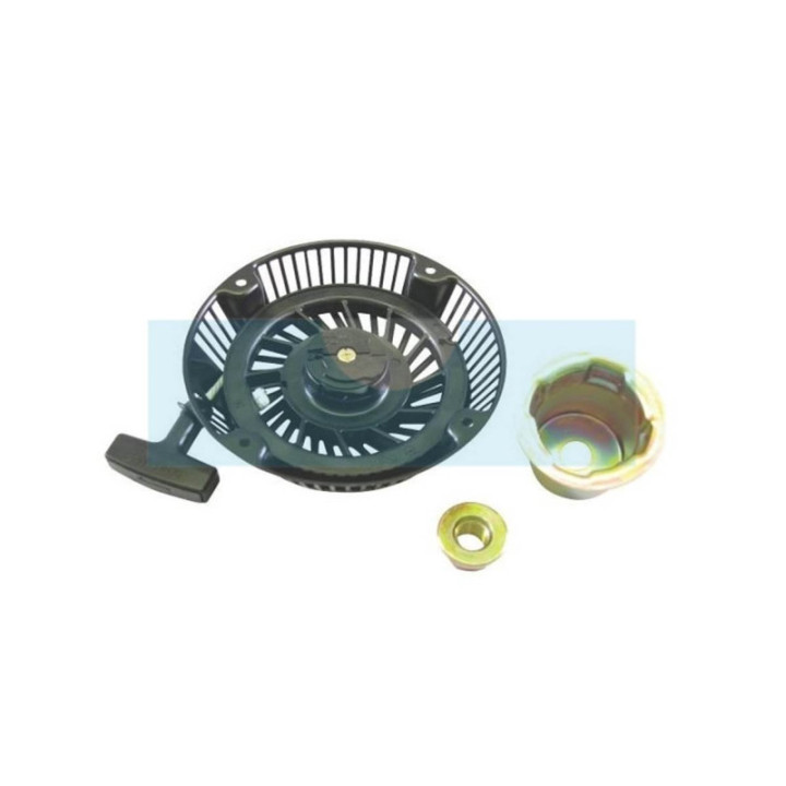 Lanceur pour moteur Briggs & Stratton (808153)