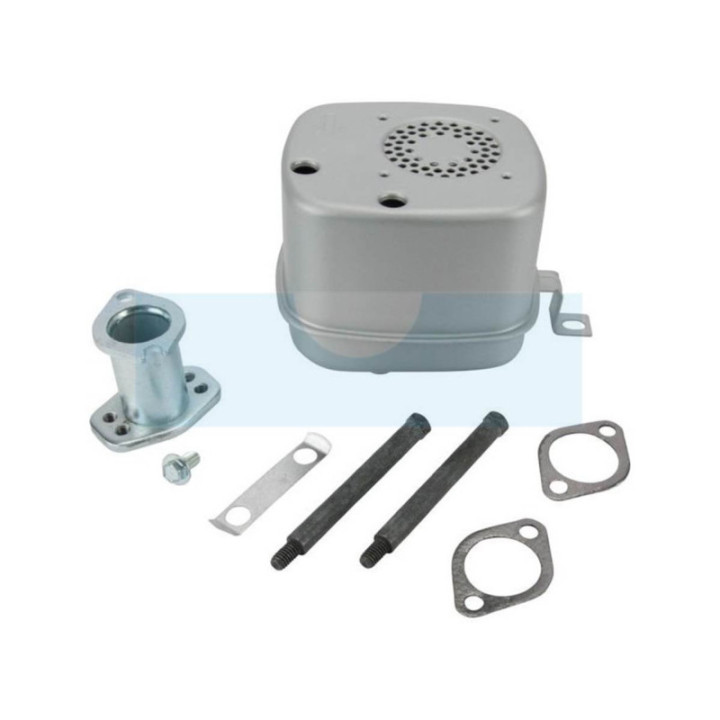 Pot d'échappement pour moteur Briggs & Stratton (796000)