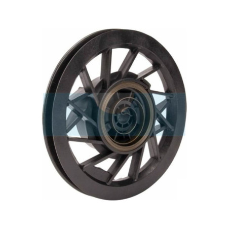 Poulie de lanceur pour moteur Briggs & Stratton (799975)
