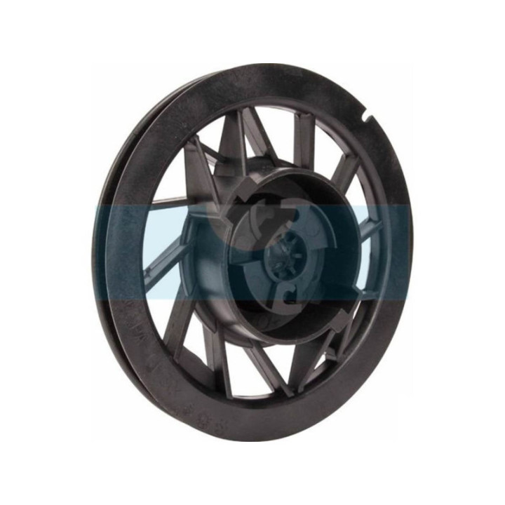 Poulie de lanceur pour moteur Briggs & Stratton (799975)