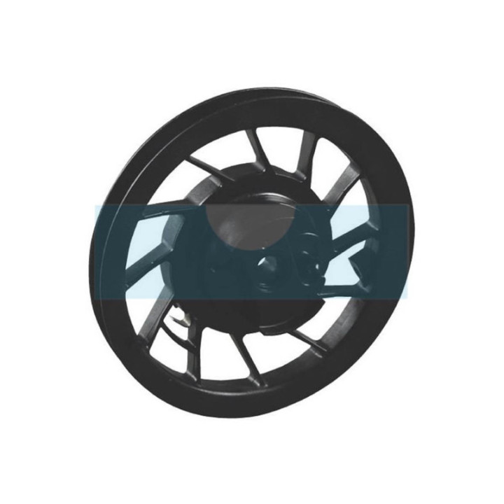 Poulie de lanceur pour moteur Briggs & Stratton (697843)