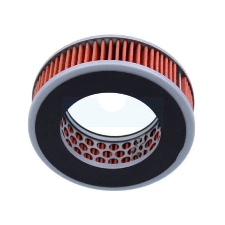 Filtre à air pour débroussailleuse Shindaiwa (A226001860)