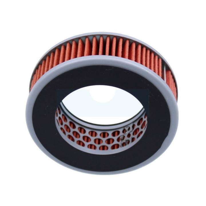 Filtre à air pour débroussailleuse Shindaiwa (A226001860)