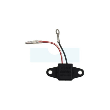 Module d'allumage pour débroussailleuse Shindaiwa (A416000000)