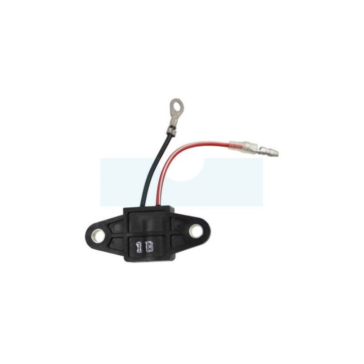 Module d'allumage pour débroussailleuse Shindaiwa (A416000000)