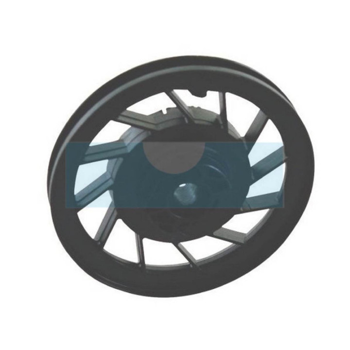 Poulie de lanceur pour moteur Briggs & Stratton (494545)