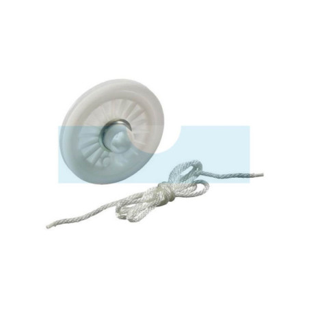 Poulie de lanceur pour moteur Briggs & Stratton (392630)