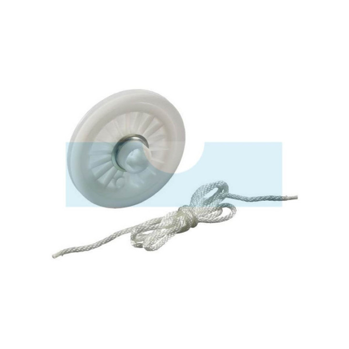 Poulie de lanceur pour moteur Briggs & Stratton (392630)