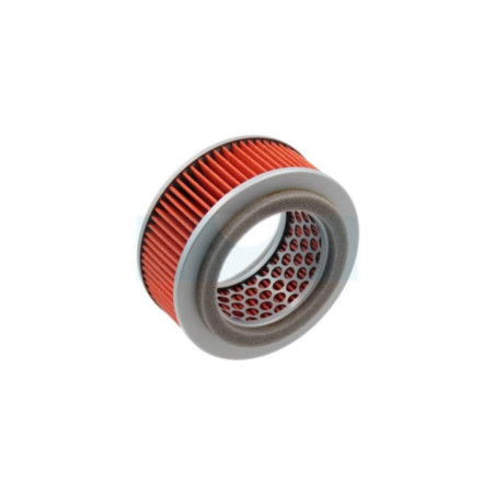 Filtre à air pour tronçonneuse Shindaiwa (A226001250)