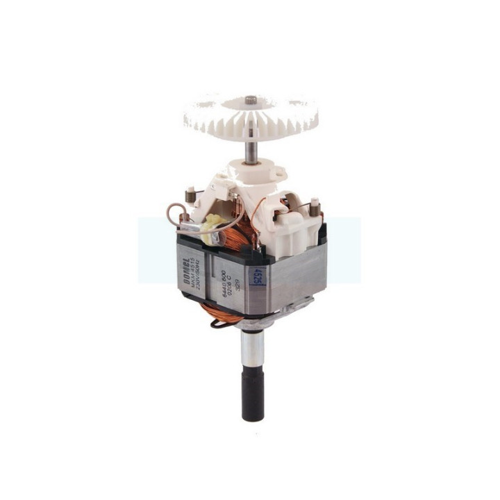 Moteur électrique pour taille-haie Stihl (48136000200)