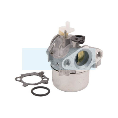 Carburateur pour moteur Briggs & Stratton (799869)