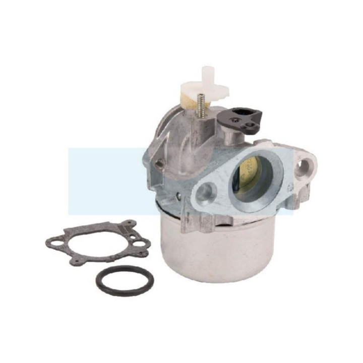 Carburateur pour moteur Briggs & Stratton (799869)