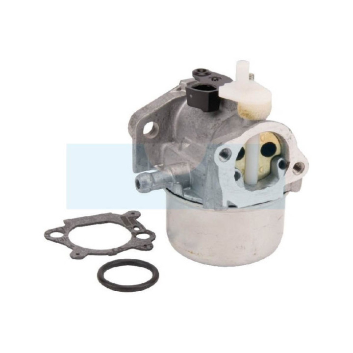 Carburateur pour moteur Briggs & Stratton (799869)