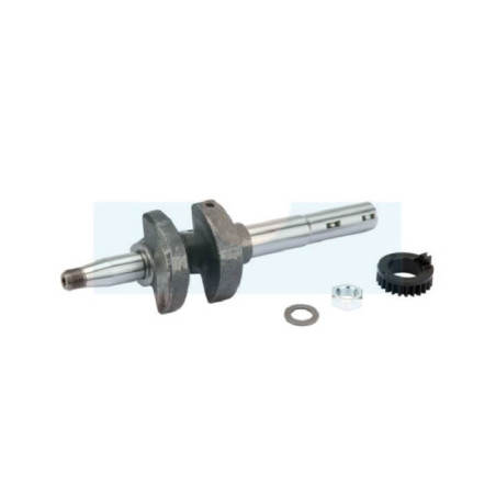 Vilebrequin pour moteur Briggs & Stratton (793426)