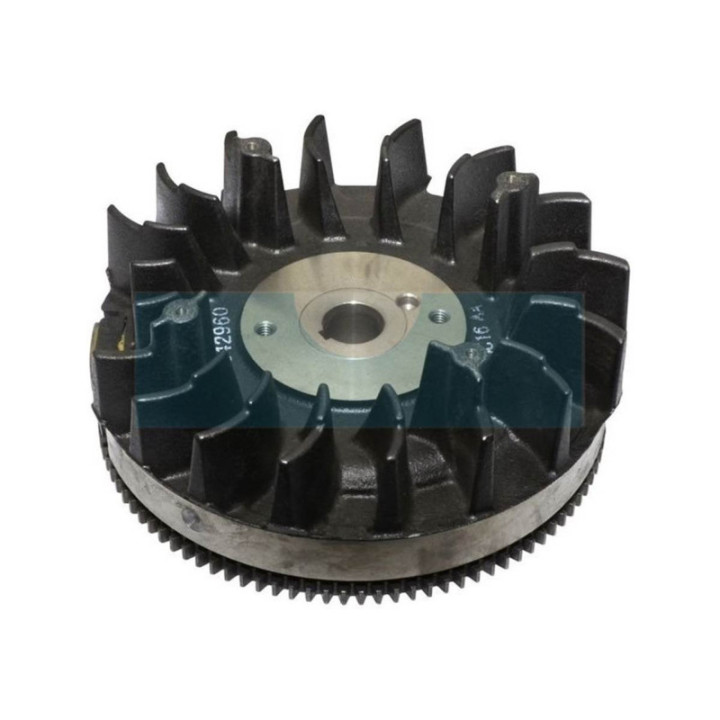 Volant d'allumage pour moteur Briggs & Stratton (841825)