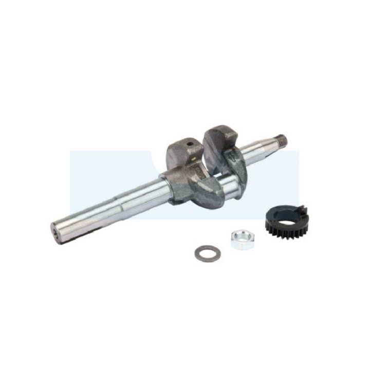 Vilebrequin pour moteur Briggs & Stratton (793426)