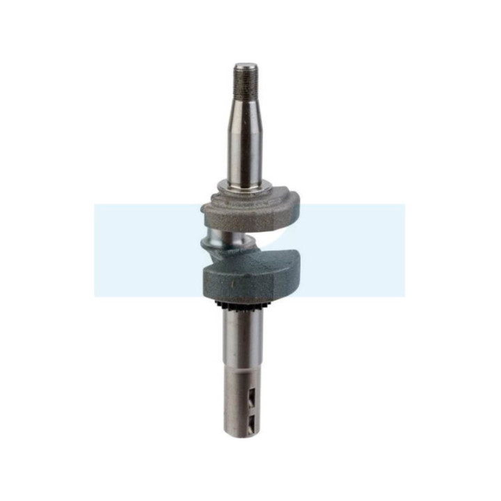 Vilebrequin pour moteur Briggs & Stratton (595241)